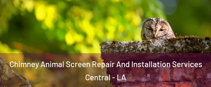  Chimney Animal Screen Repair And Installation Services Central - LA