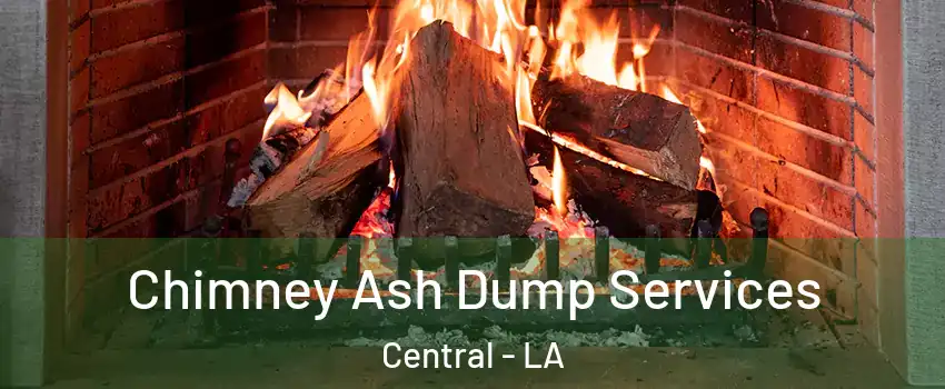  Chimney Ash Dump Services Central - LA
