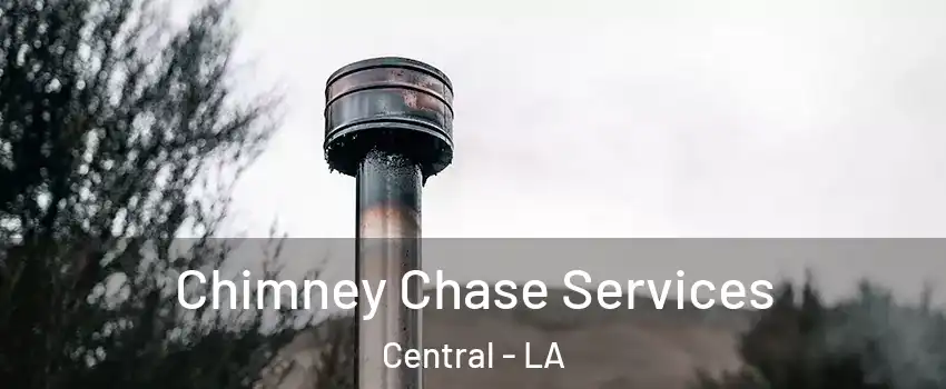  Chimney Chase Services Central - LA