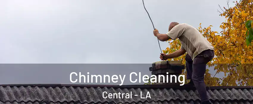  Chimney Cleaning Central - LA