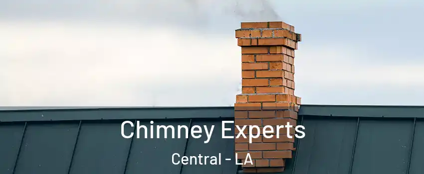 Chimney Experts Central - LA