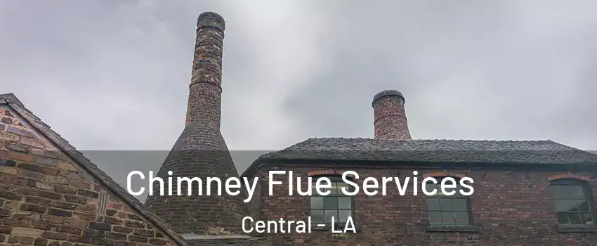  Chimney Flue Services Central - LA