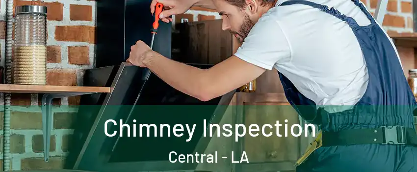  Chimney Inspection Central - LA