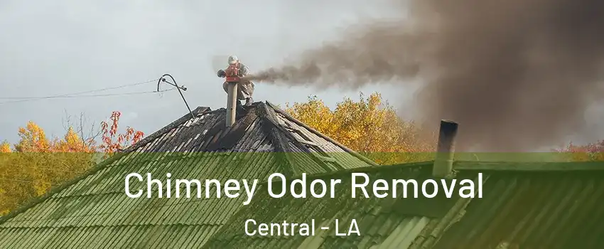  Chimney Odor Removal Central - LA