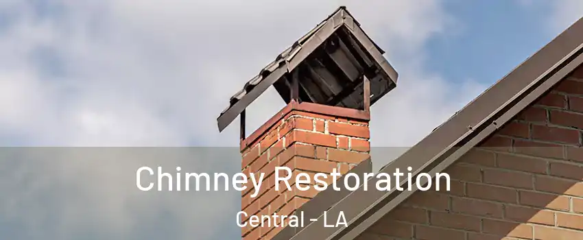  Chimney Restoration Central - LA
