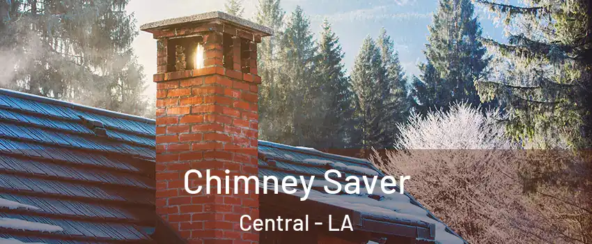  Chimney Saver Central - LA