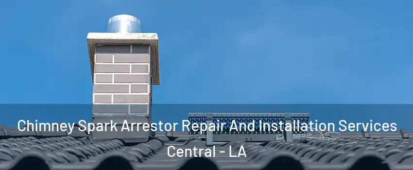  Chimney Spark Arrestor Repair And Installation Services Central - LA