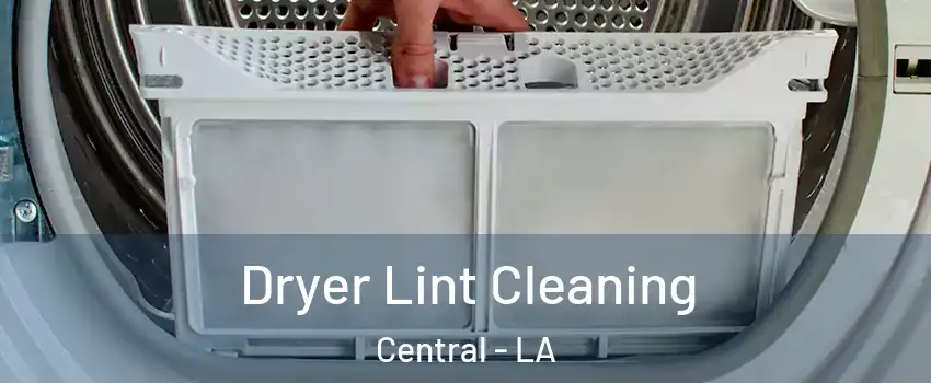  Dryer Lint Cleaning Central - LA