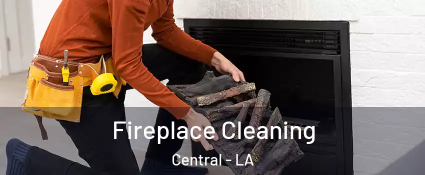 Fireplace Cleaning Central - LA