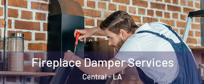  Fireplace Damper Services Central - LA