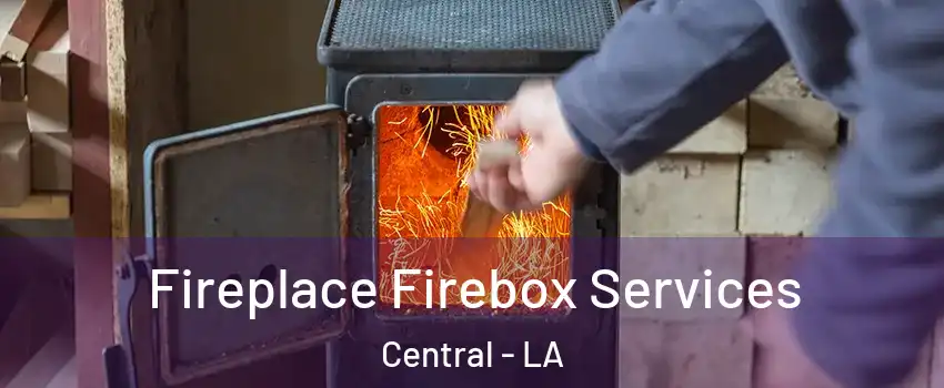  Fireplace Firebox Services Central - LA