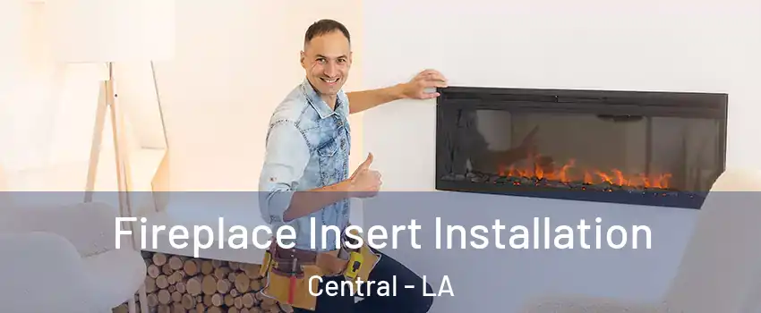  Fireplace Insert Installation Central - LA