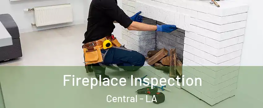  Fireplace Inspection Central - LA
