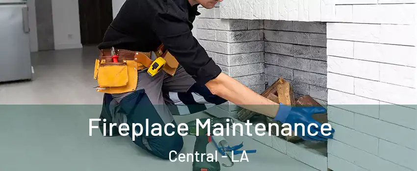  Fireplace Maintenance Central - LA