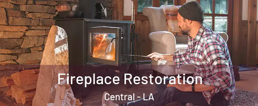  Fireplace Restoration Central - LA