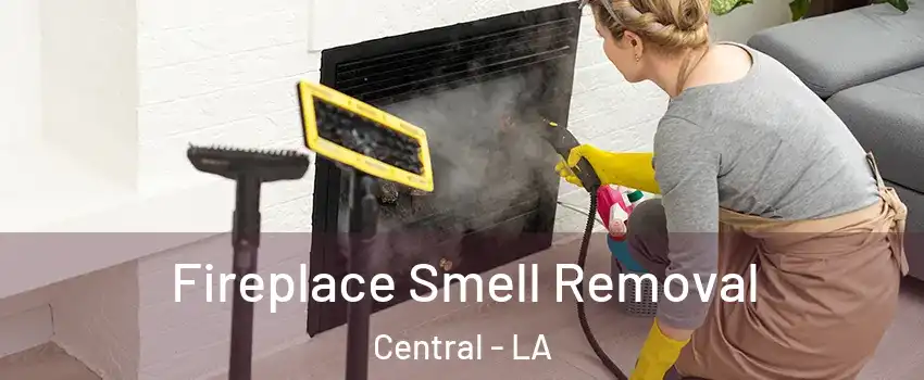  Fireplace Smell Removal Central - LA