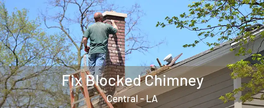  Fix Blocked Chimney Central - LA