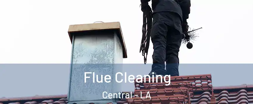  Flue Cleaning Central - LA