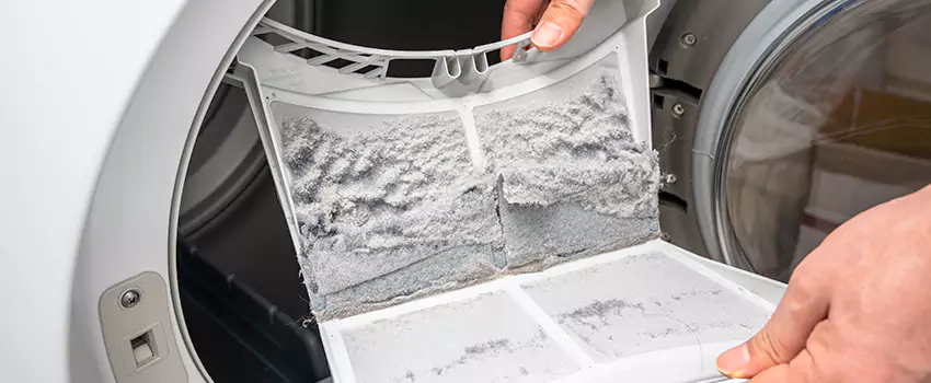 Best Dryer Lint Removal Company in Central, Louisiana