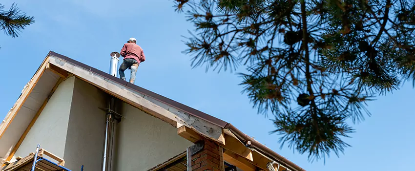 Birds Removal Contractors from Chimney in Central, LA