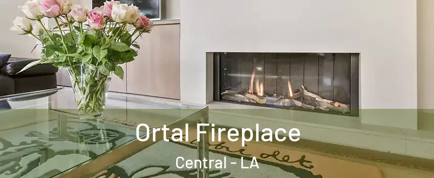 Ortal Fireplace Central - LA