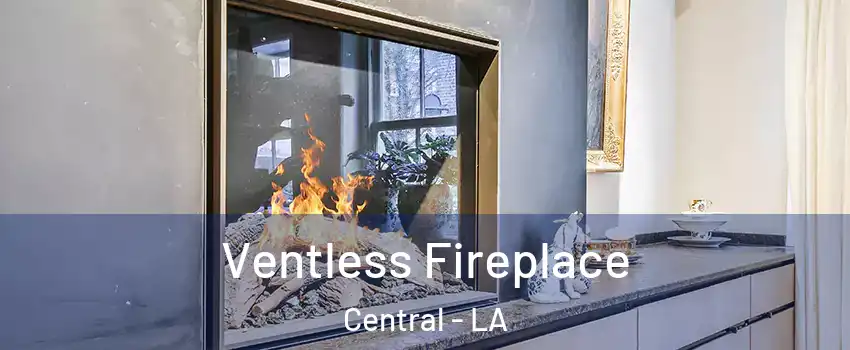  Ventless Fireplace Central - LA